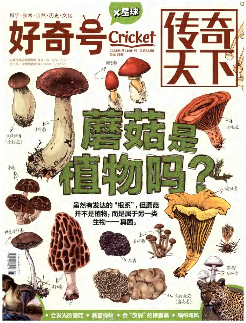 好奇号1月X星球-蘑菇是植物吗 封面