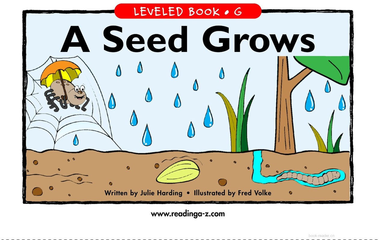 A Seed Grows