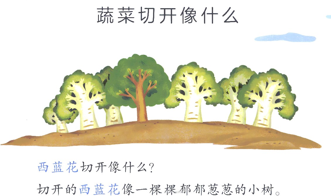250114 蔬菜切开像什么
