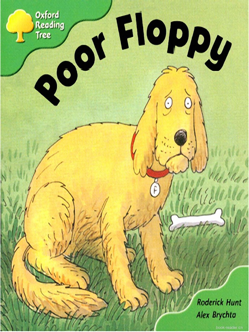 2-14 Poor Floppy