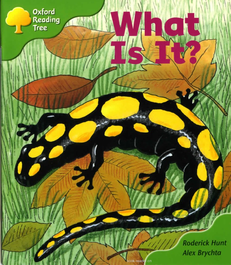 2-07 What is it