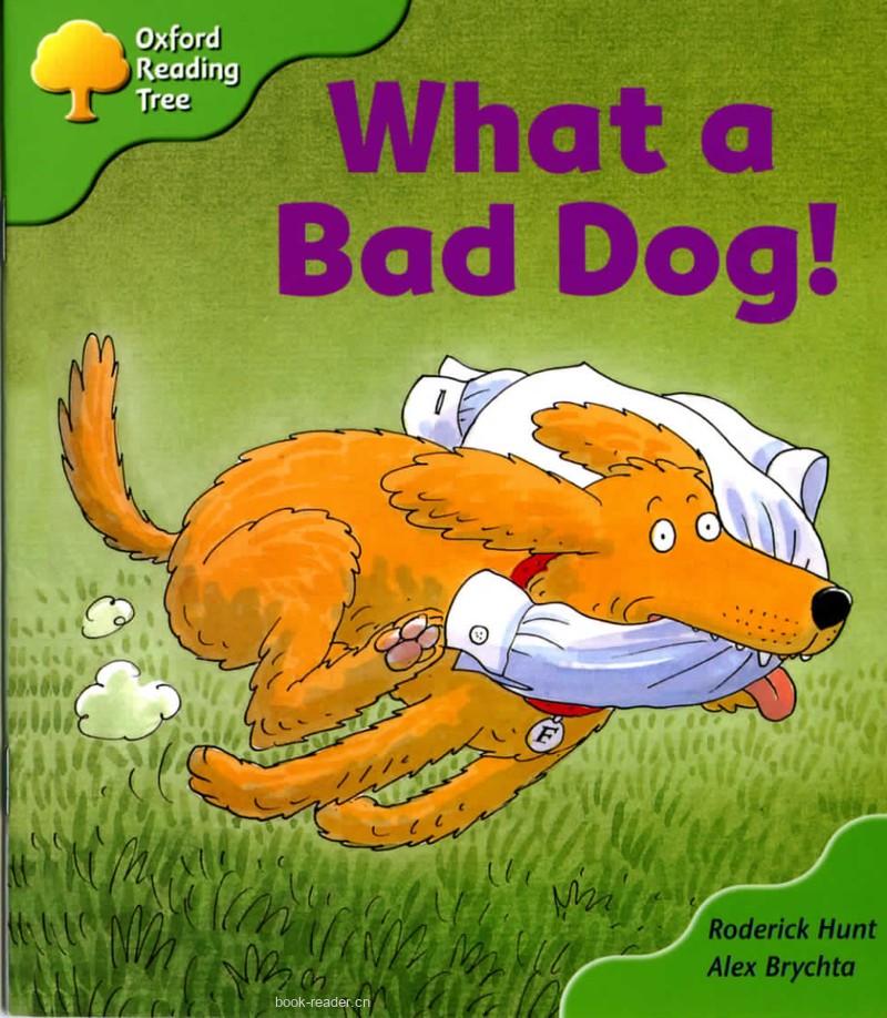 2-22 What a Bad Dog!