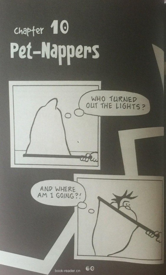 Pet-Nappers