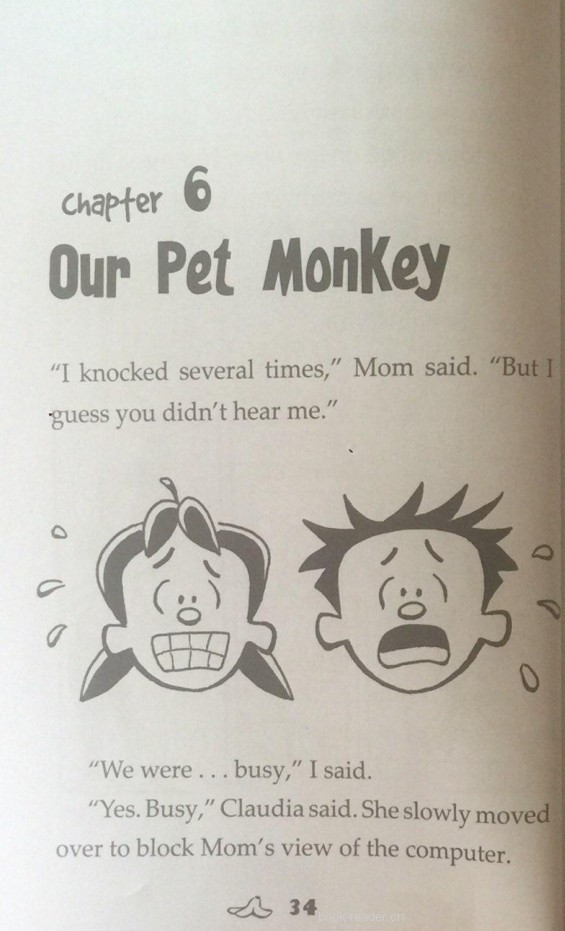 Our Pet Monkey
