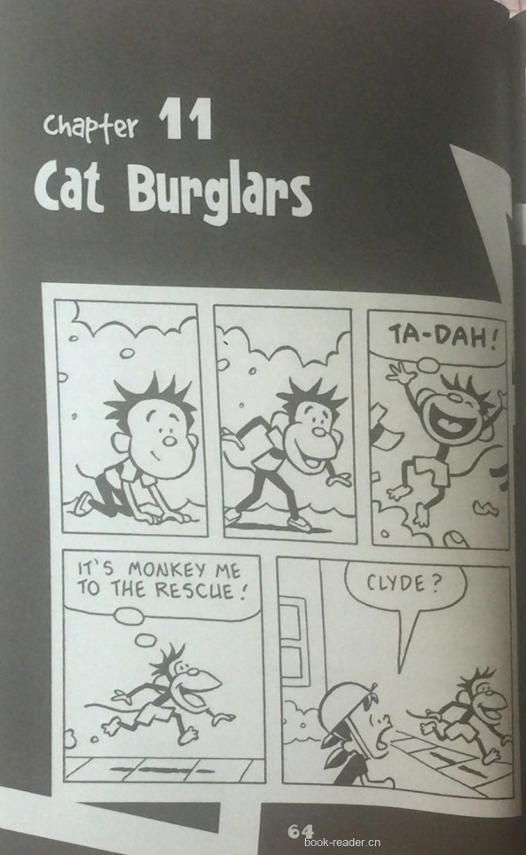 Cat Burglars