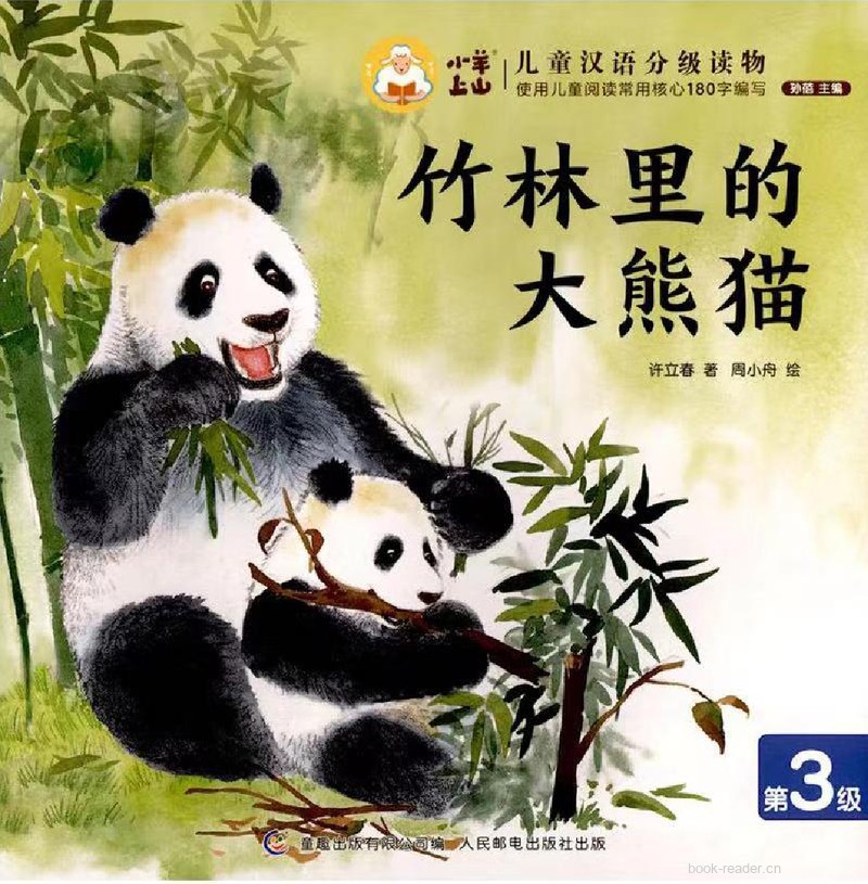 竹林里的大熊猫