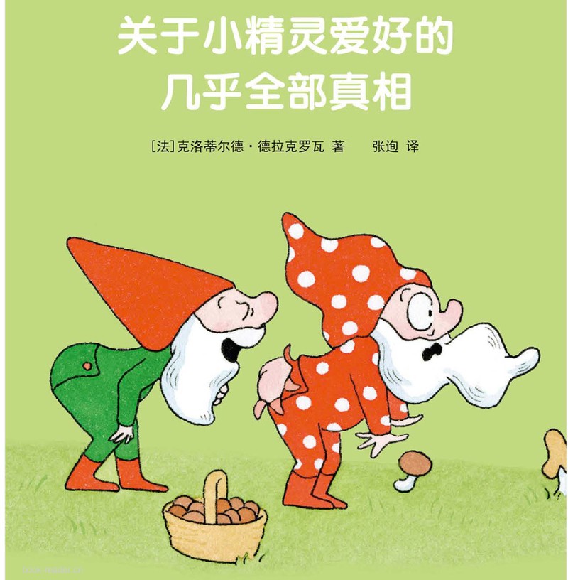 关于小精灵的几乎全部真相 封面