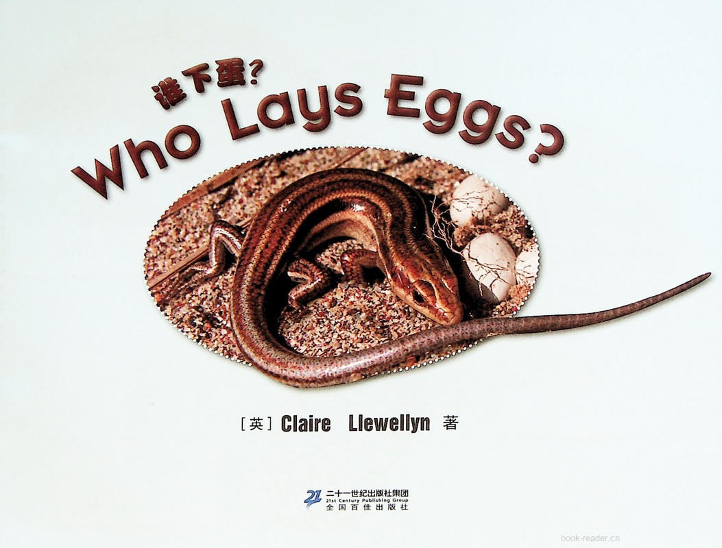 17 Who Lays Eggs