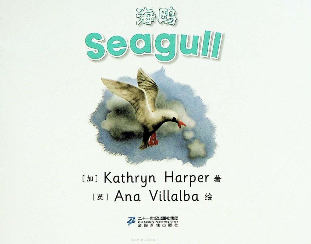 23 Seagull