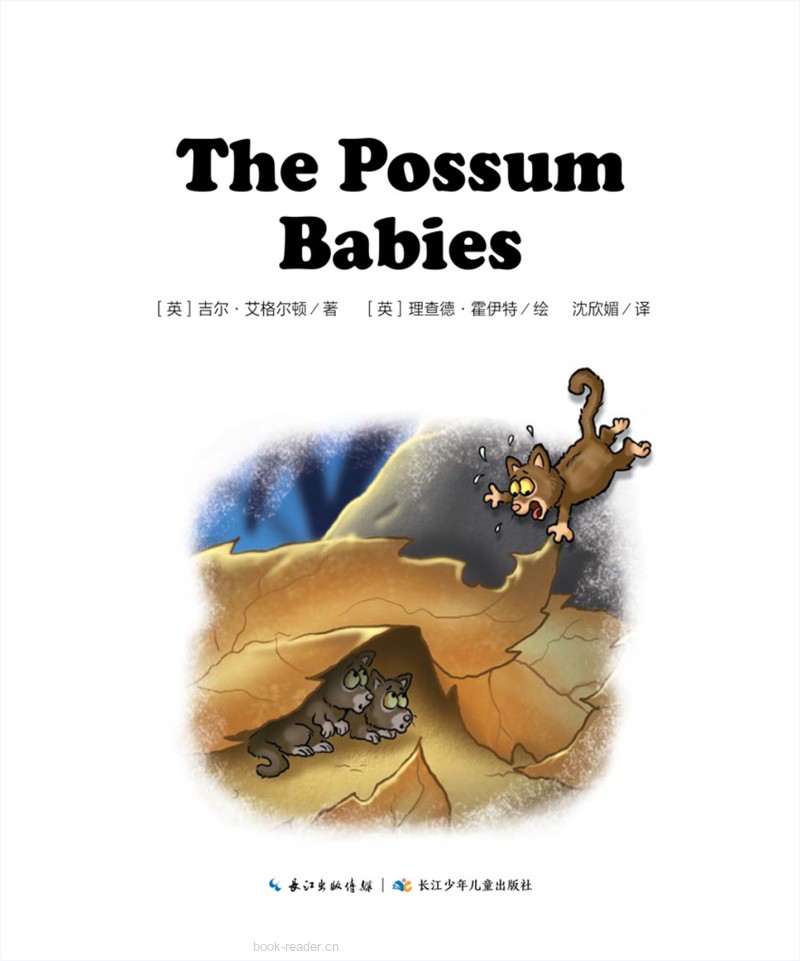 52 The Possum Babies