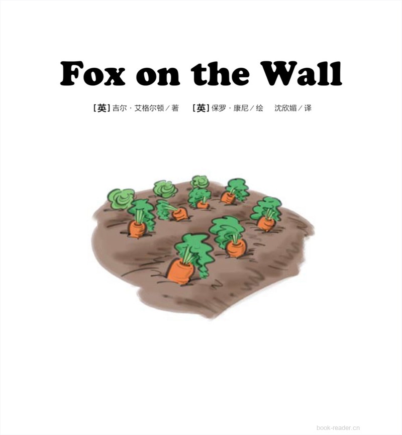 17 Fox on the Wall