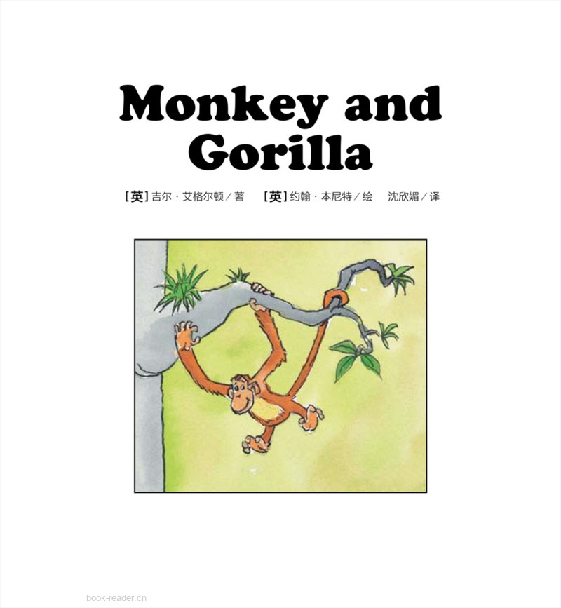 28 Monkey and Gorilla
