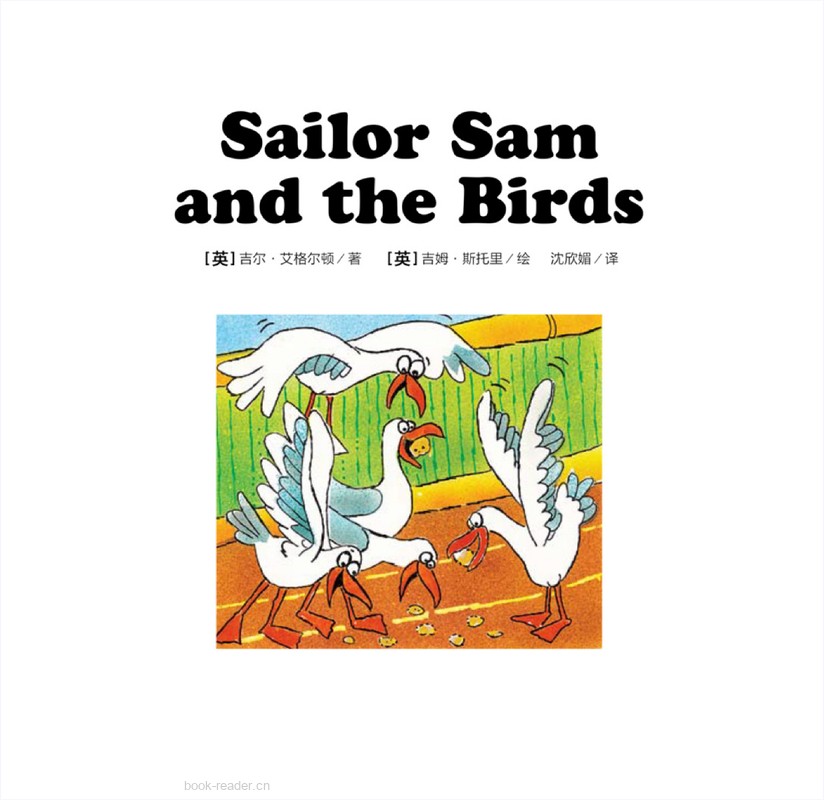 14 Sailor Sam and the Birds