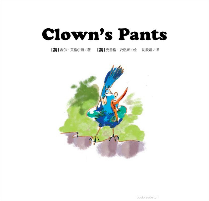 15 Clown's Pants