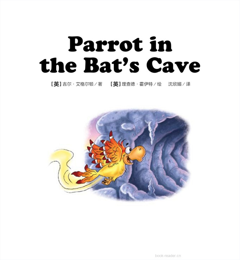 20 Parrot in the Bat's Cave