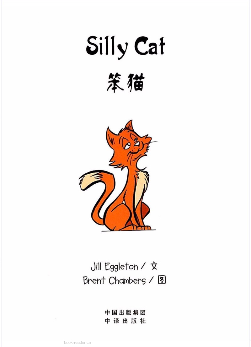 Silly Cat