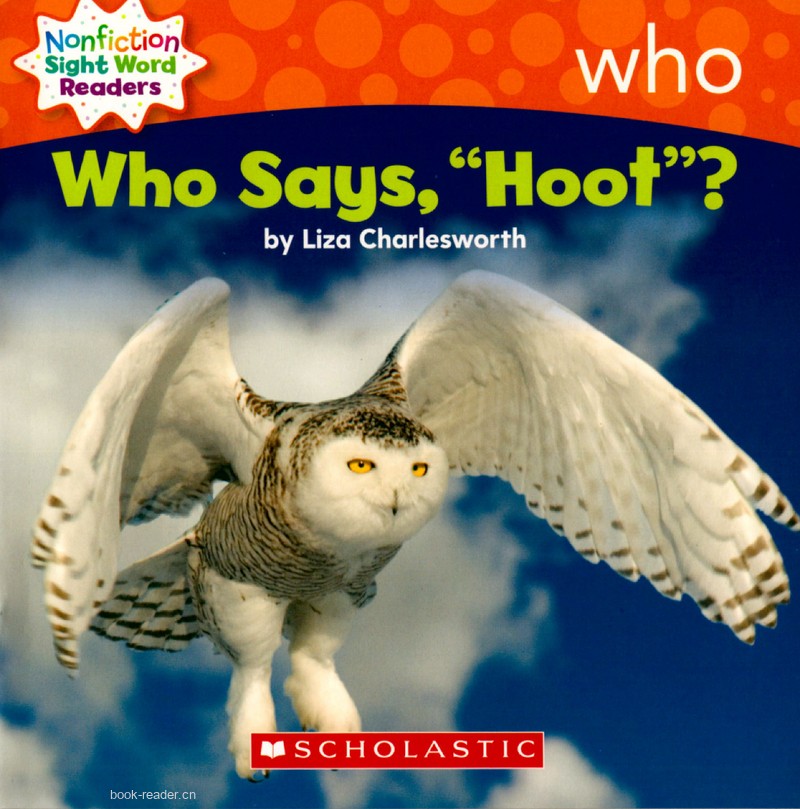 99 Who Says Hoot