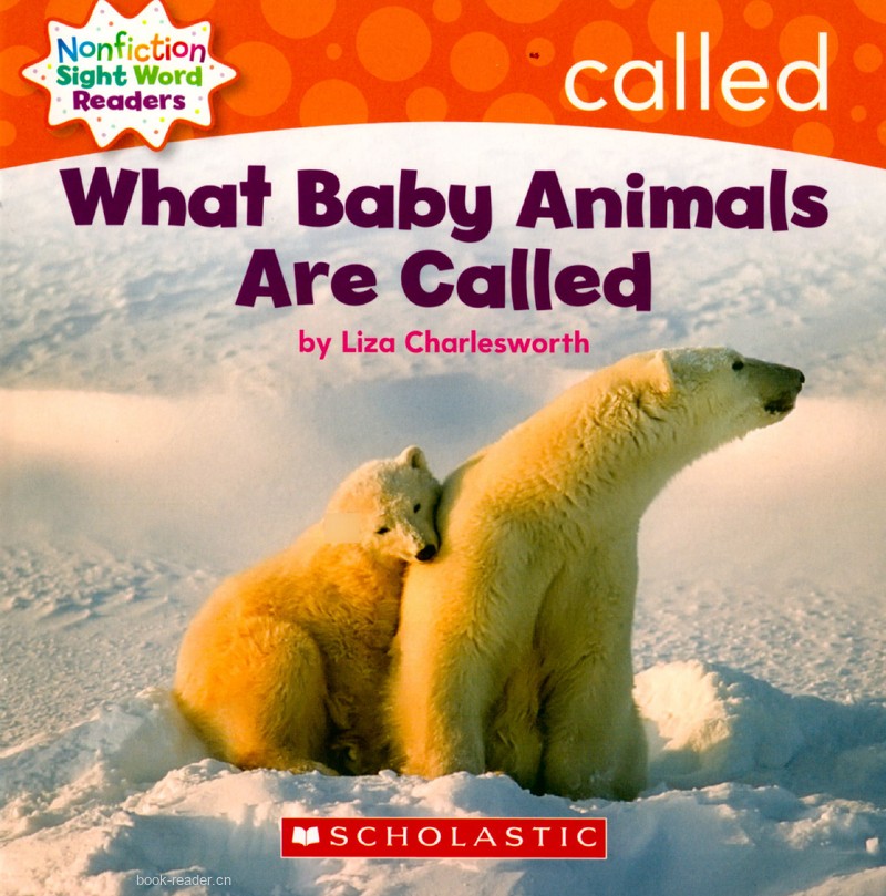 96 What Baby Animals Are Called