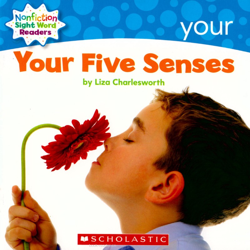 38 Your Five Senses
