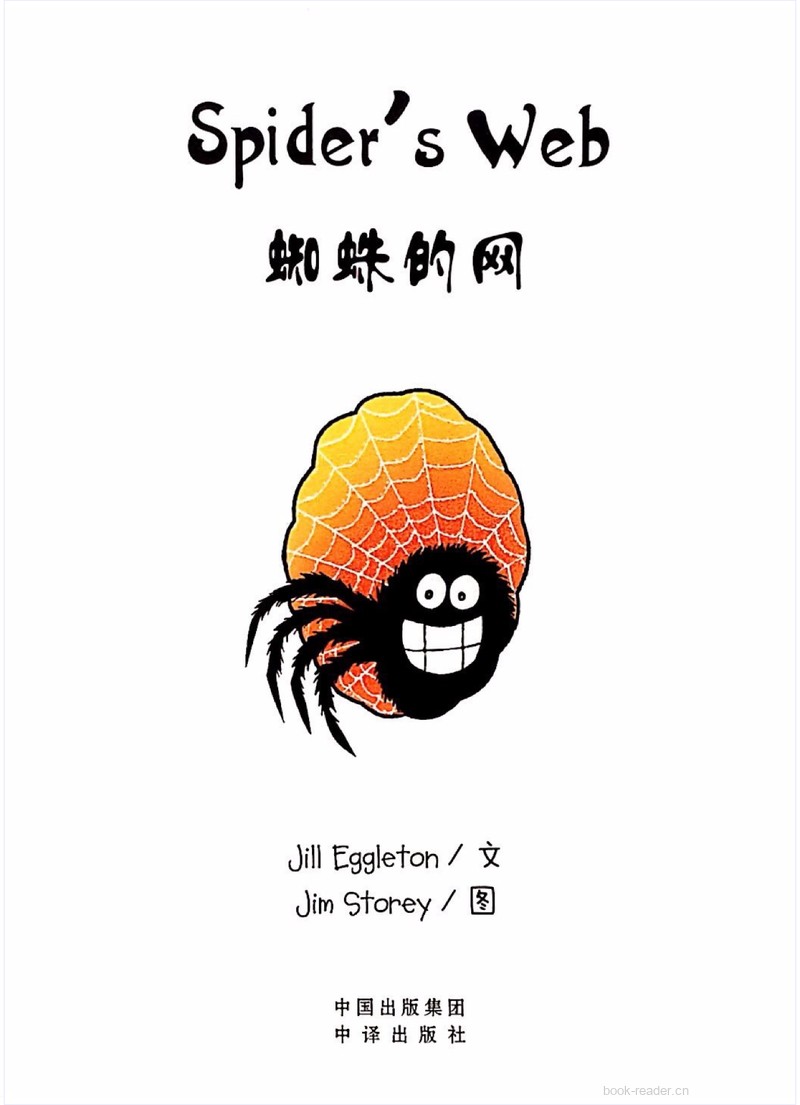 Spider's Web