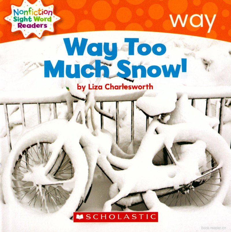 95 Way Too Much Snow