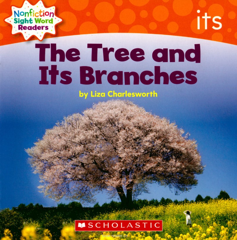 91 The Tree and Its Branches