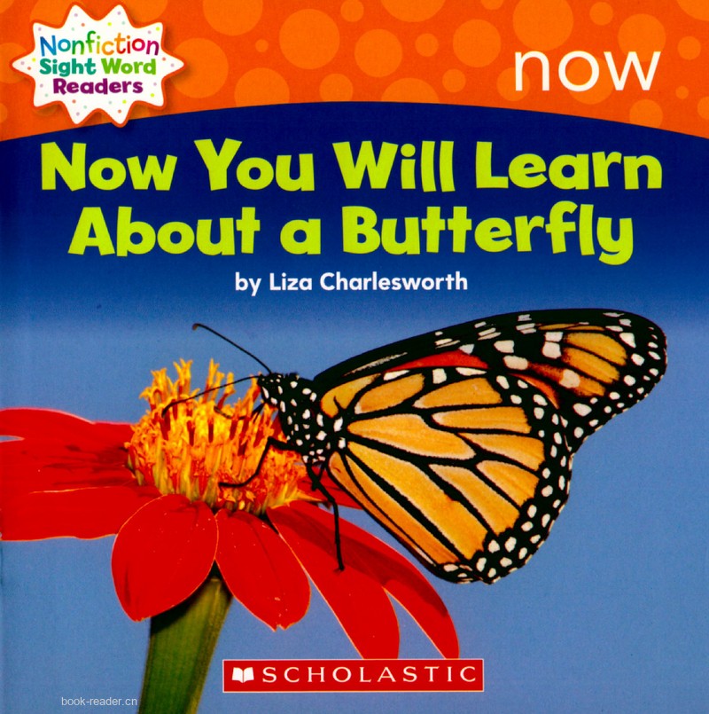 88 Now You Will Learn About a Butterfly