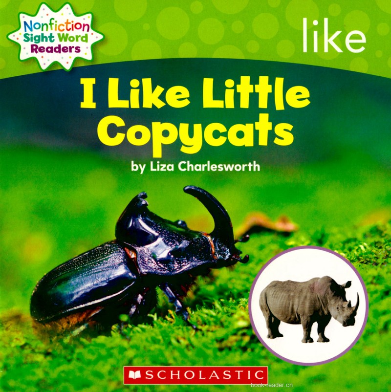 55 I Like Little Copycats