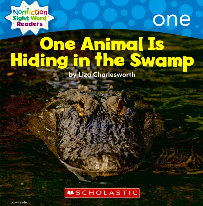 27 One Animal is Hiding in the Swamp