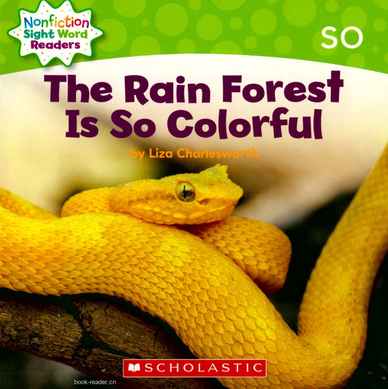 69 The Rain Forest is So Colorful