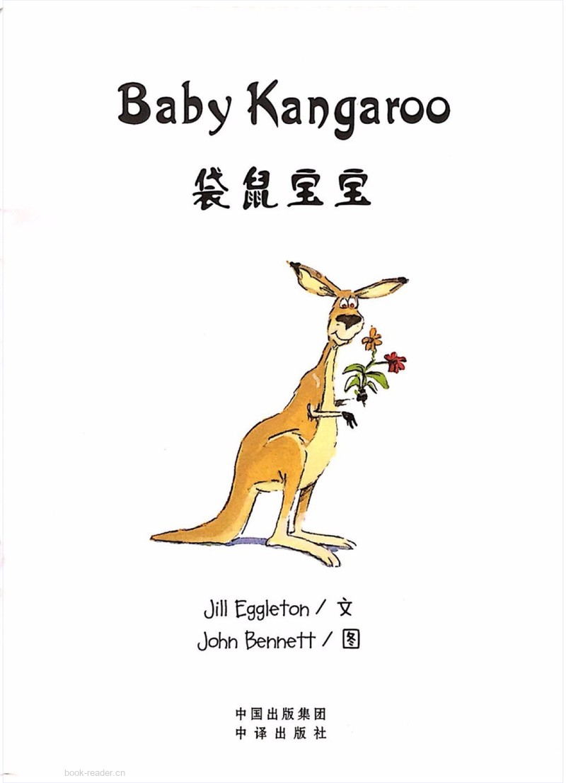 Baby Kangaroo