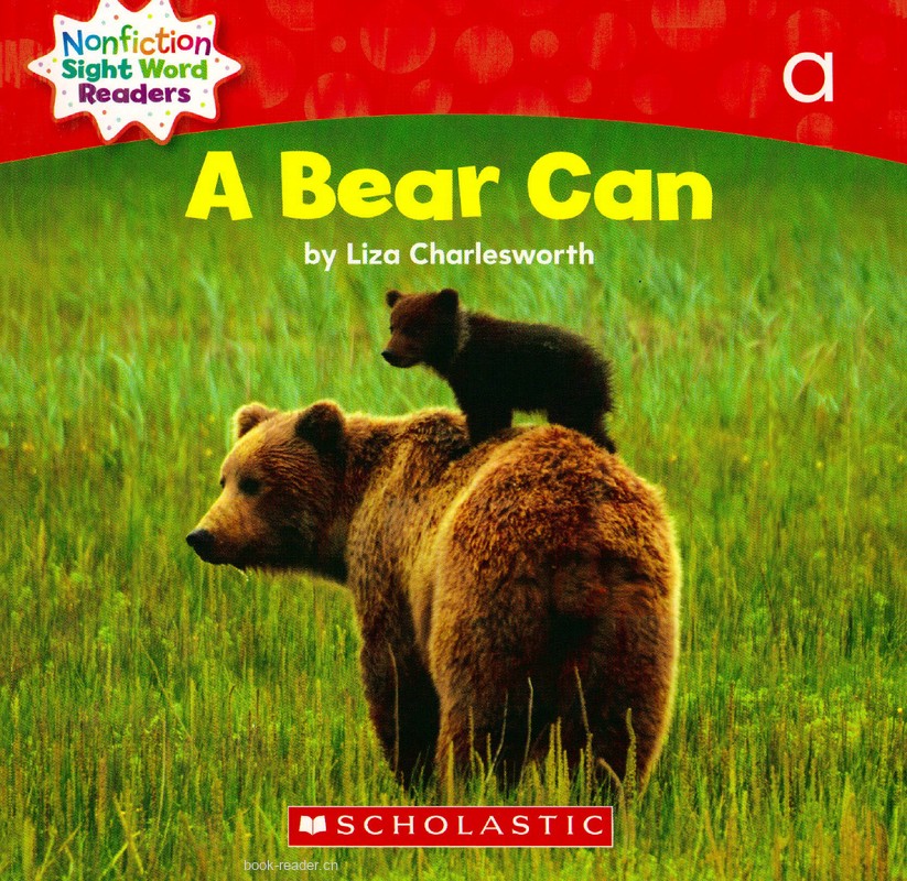 04 A Bear Can