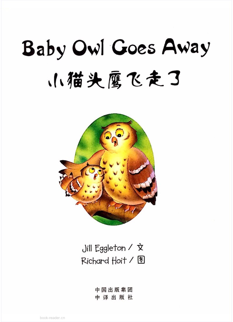 Baby Owl Goer Away