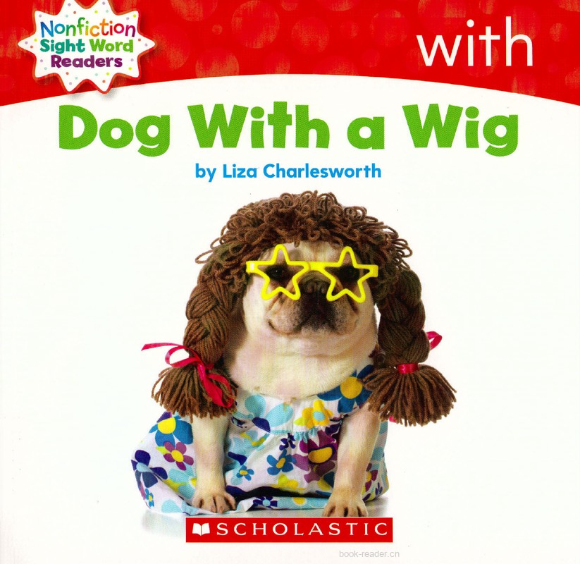 17 Dog with a Wig