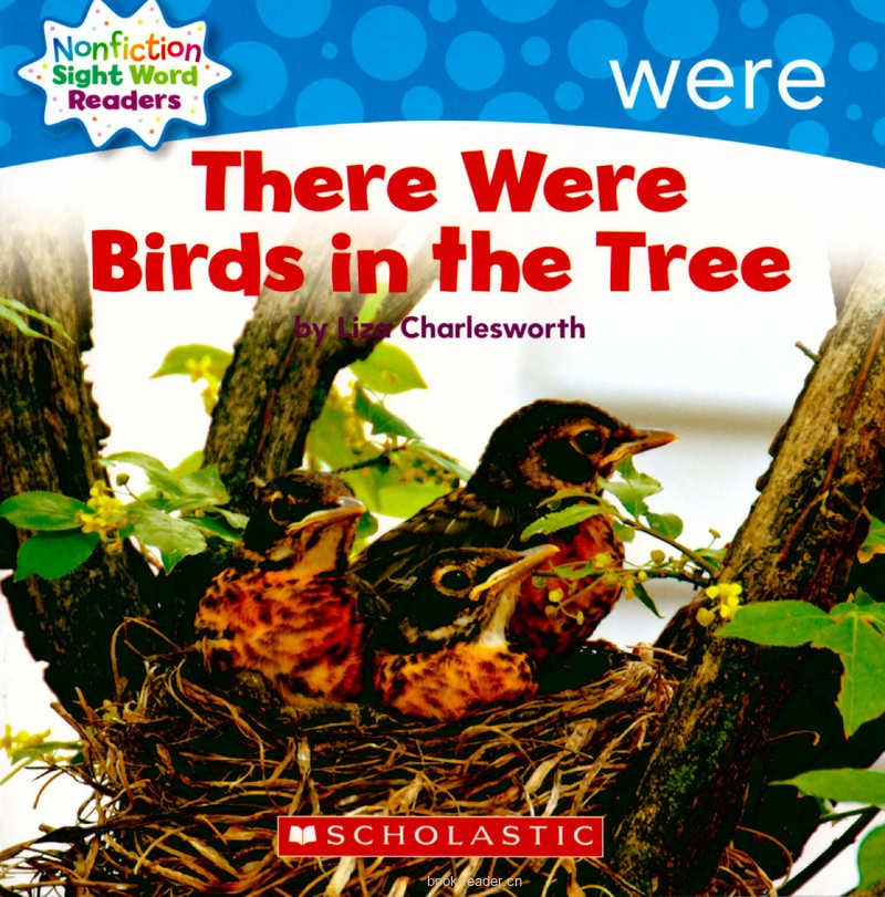 35 There Were Birds in the Tree