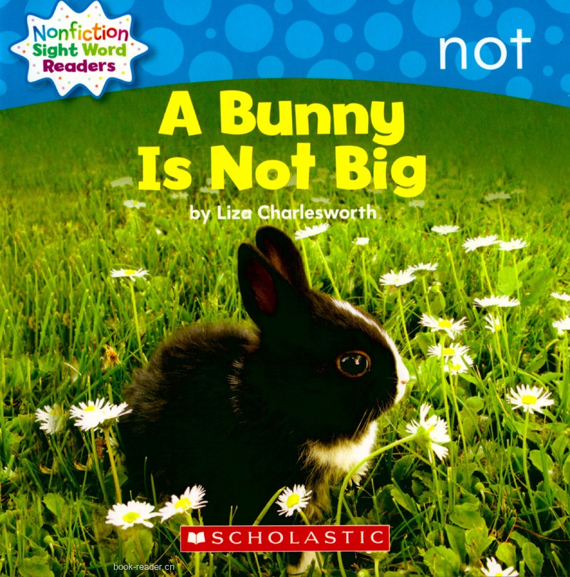 32 A Bunny Is Not Big