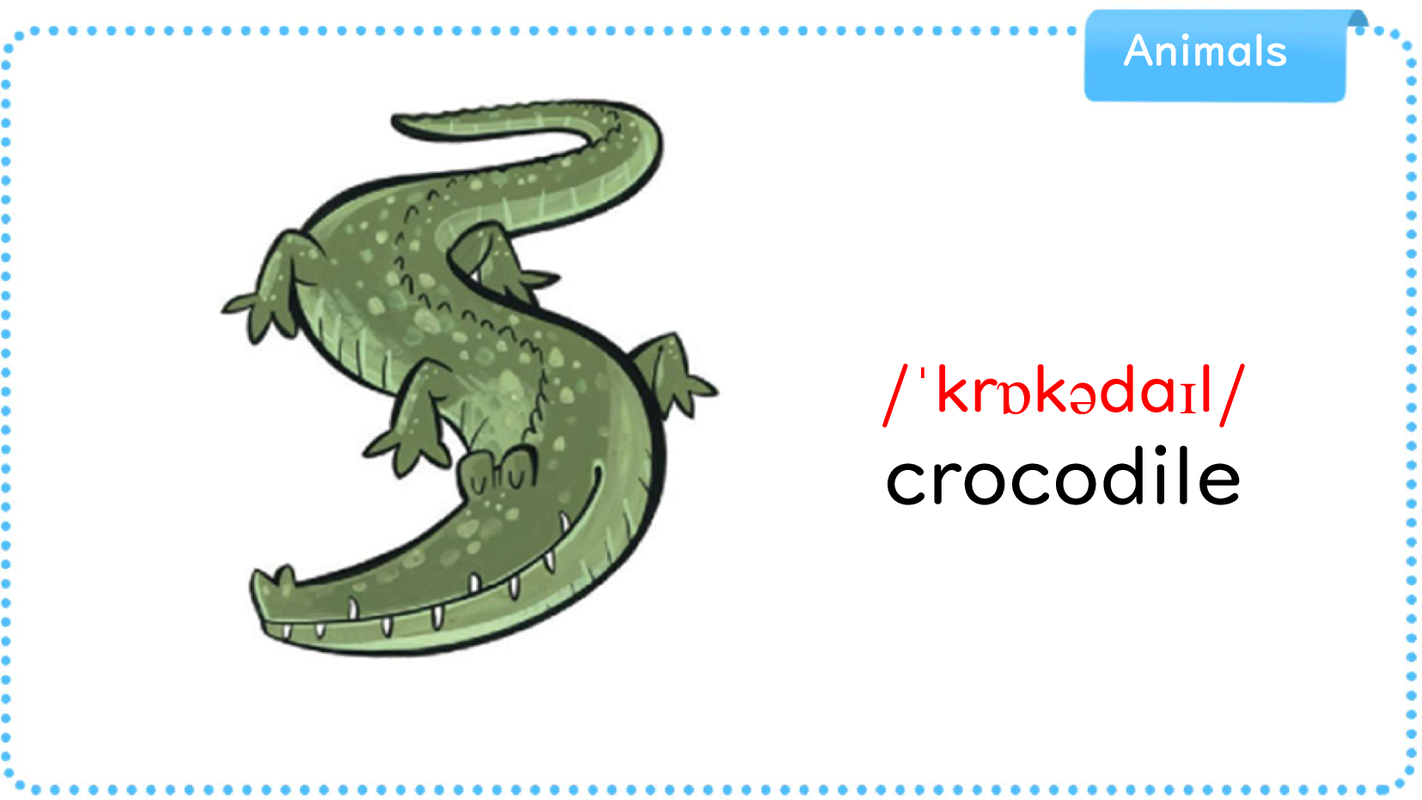 Vocabulary-unit 7-wild animals