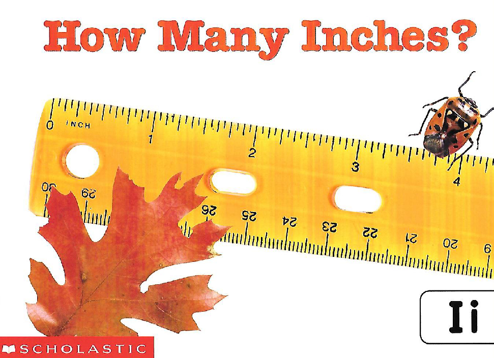 How Many Inches?