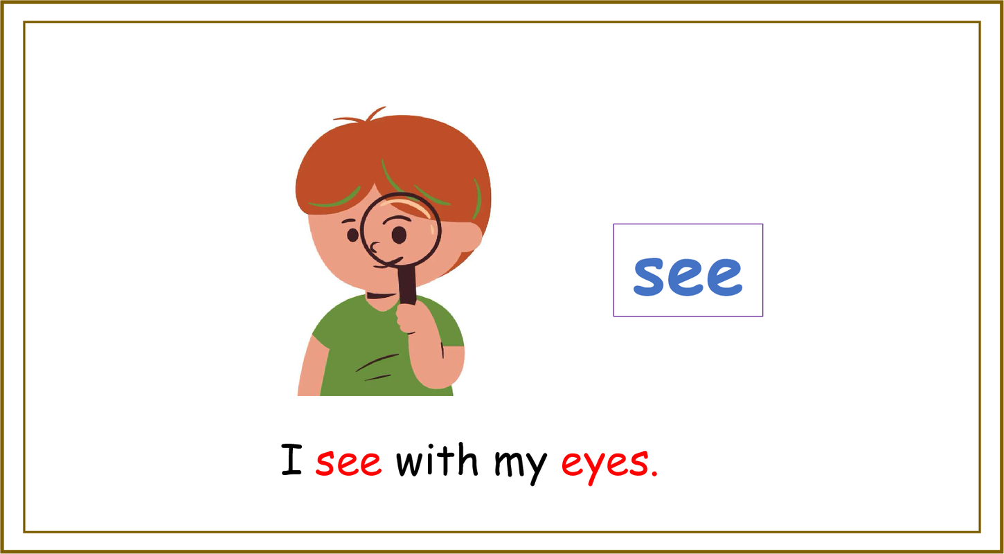 five sense-unit 6