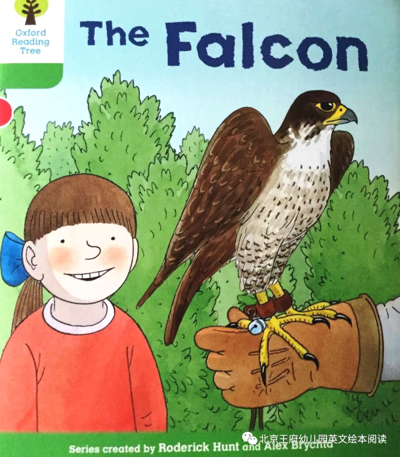 DD2-15 The Falcon