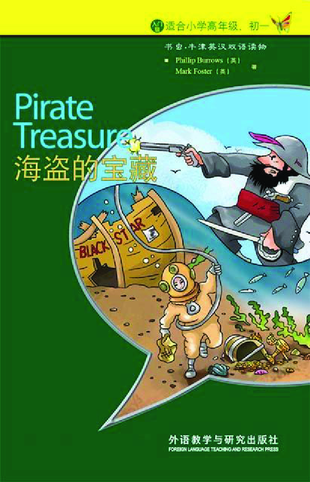书虫 海盗宝藏 封面
