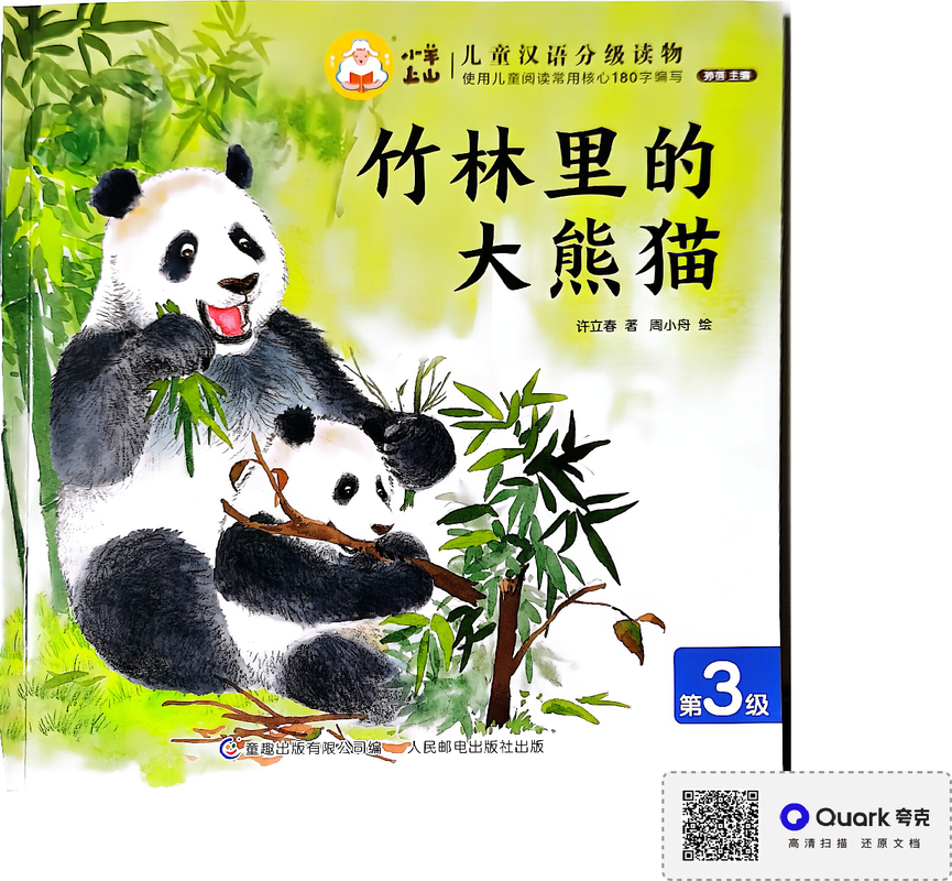 竹林里的大熊猫