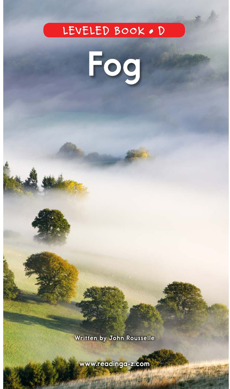 D-10-Fog