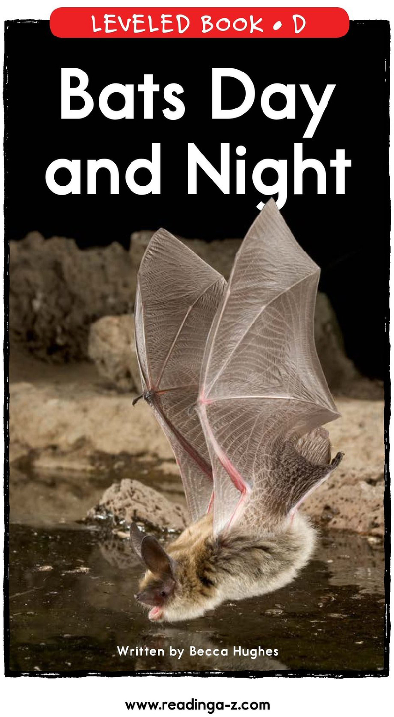 D-07-Bats Day and Night