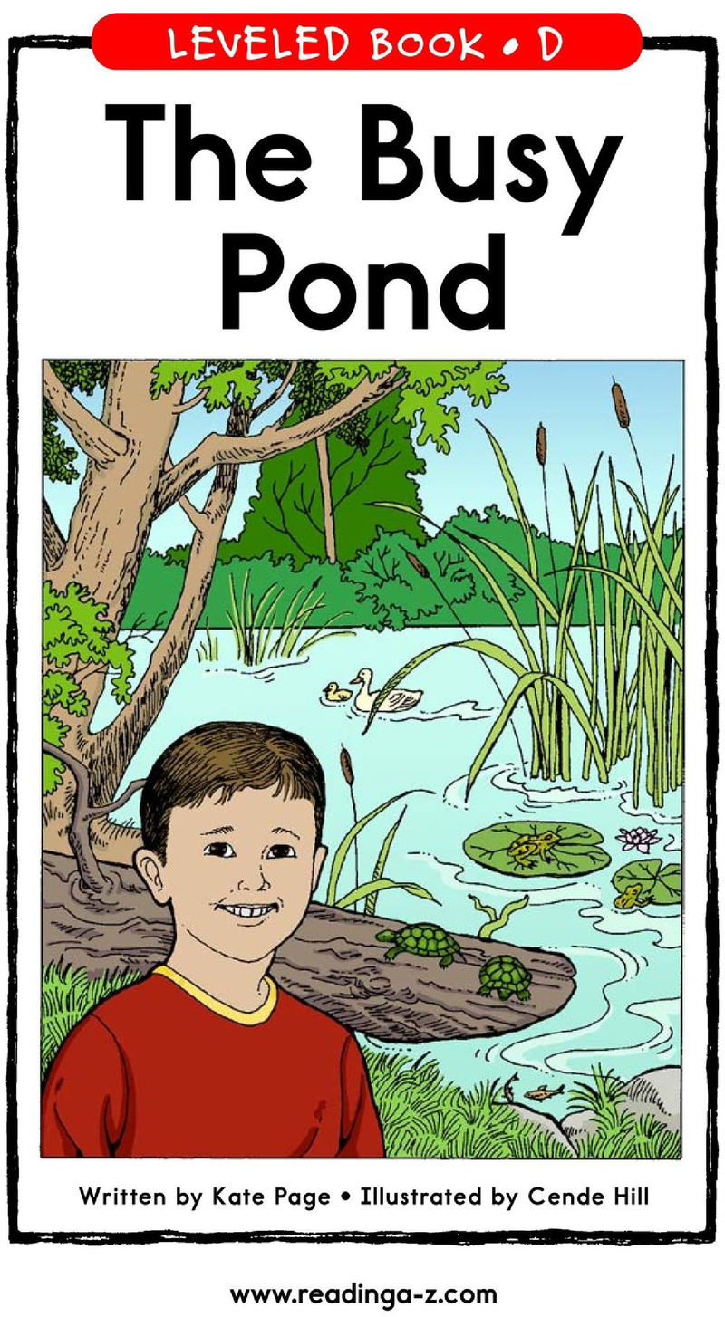 D-20-The Busy Pond