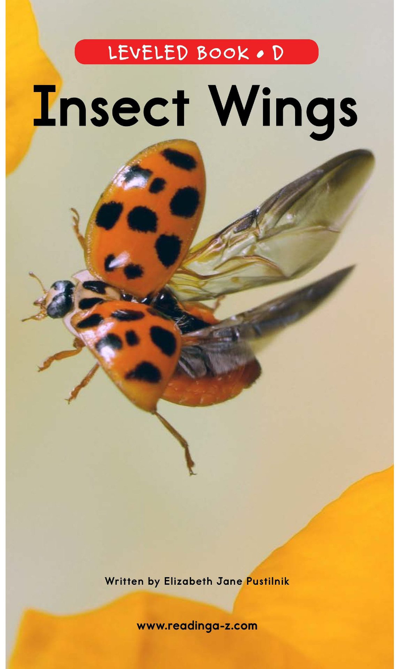 D-17-Insect Wings