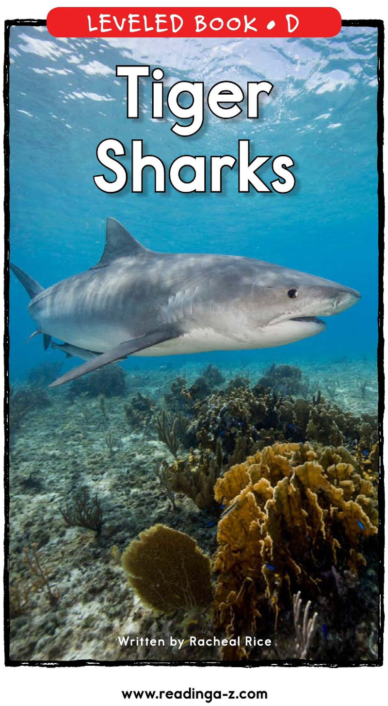 D-26-Tiger Sharks