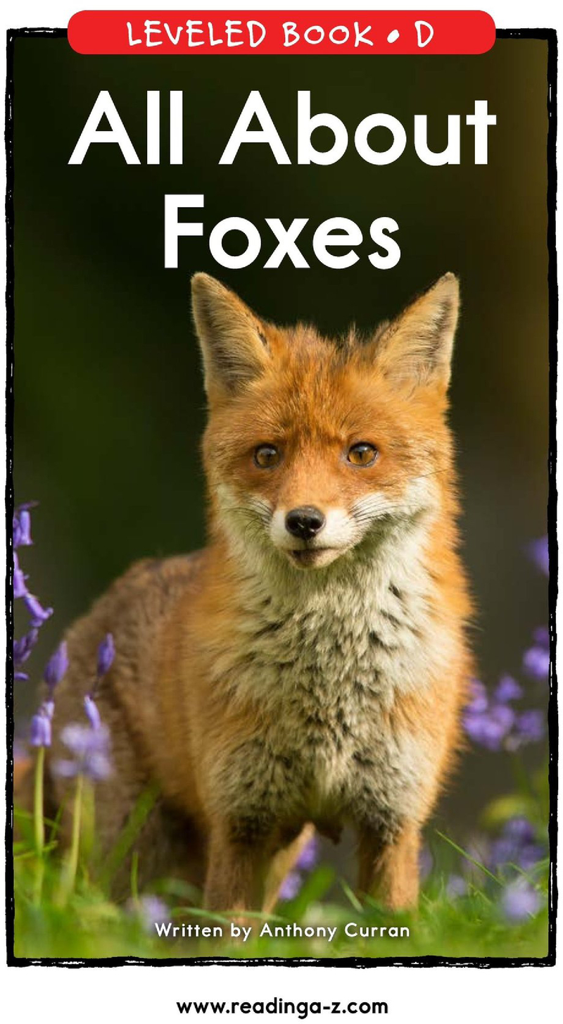D-25-All About Foxes