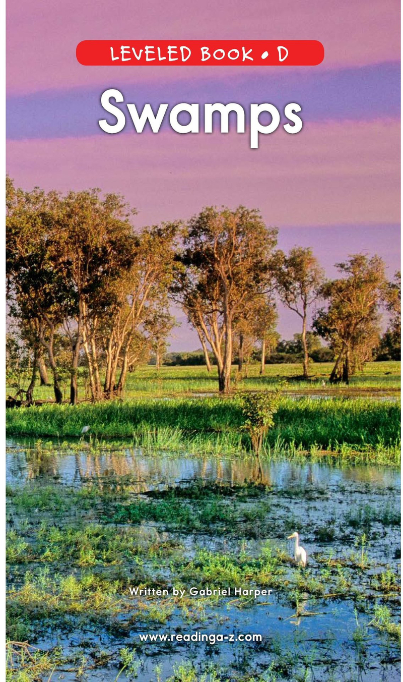 D-06-Swamps