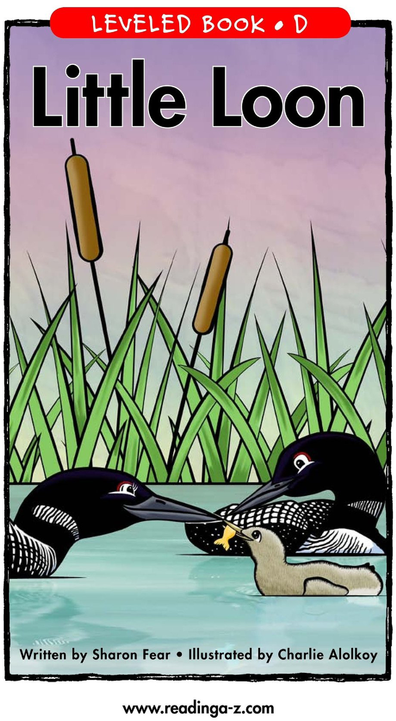 D-84-Little Loon